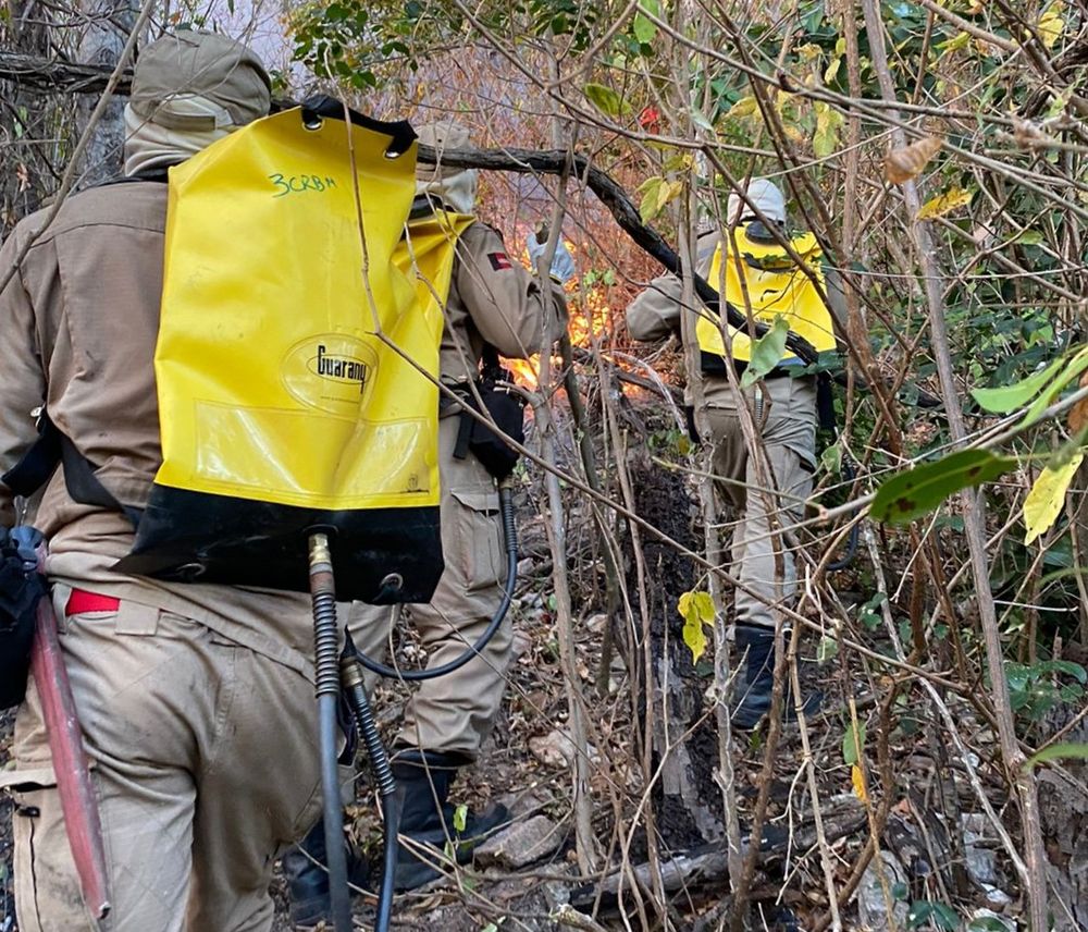 (Foto: Divulgação)