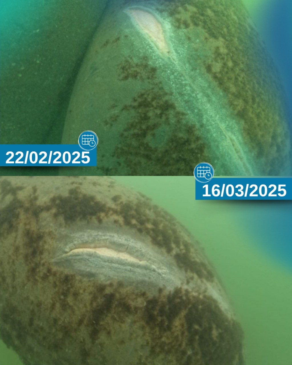 743f0b99 5af2 4df8 90c2 753c02a9a7da