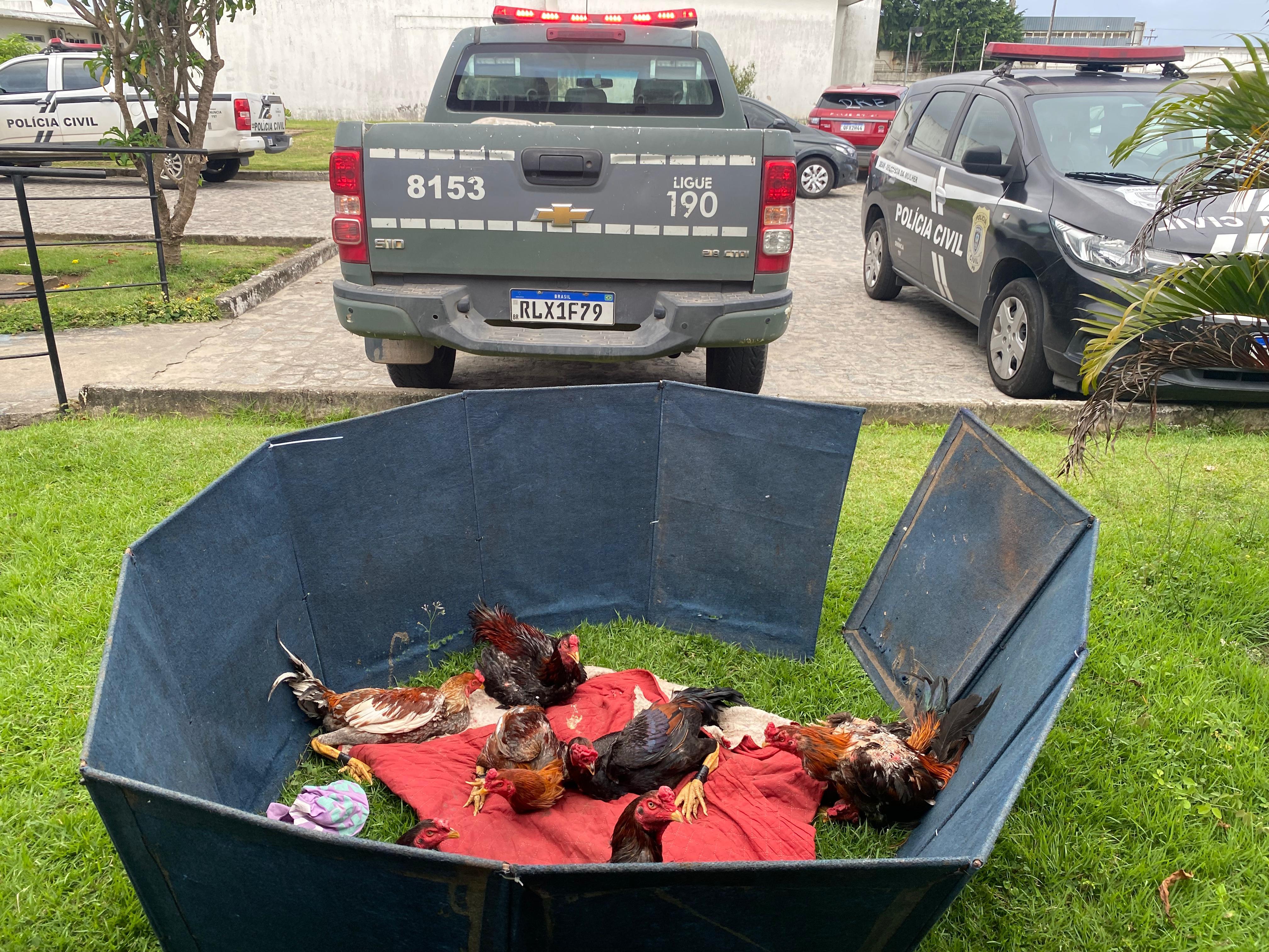 ANIMAIS RESGATADOS RINHA jpeg