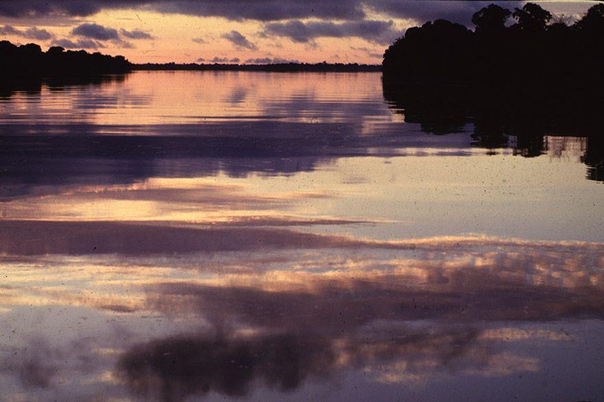 Boca do Rio Jau Parque Nac do Jau Manaus AM Juan Pratignestos c7adf84981