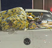 Santinhos em campina grande