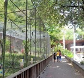 Quatro funcionários da Bica foram ouvidos nesta terça (13)