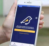 Aplicativo Pardal instalado em smartphone.