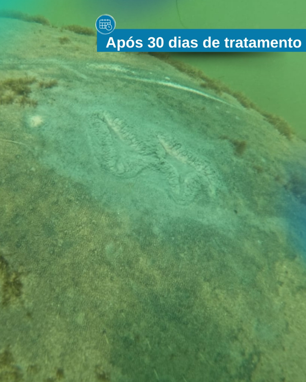 E049e351 9640 42f0 8aa6 672972fe4237